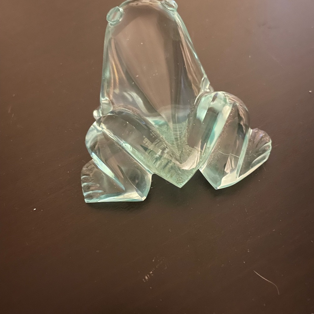 Cute Glass Frog - Picture 3 of 5
